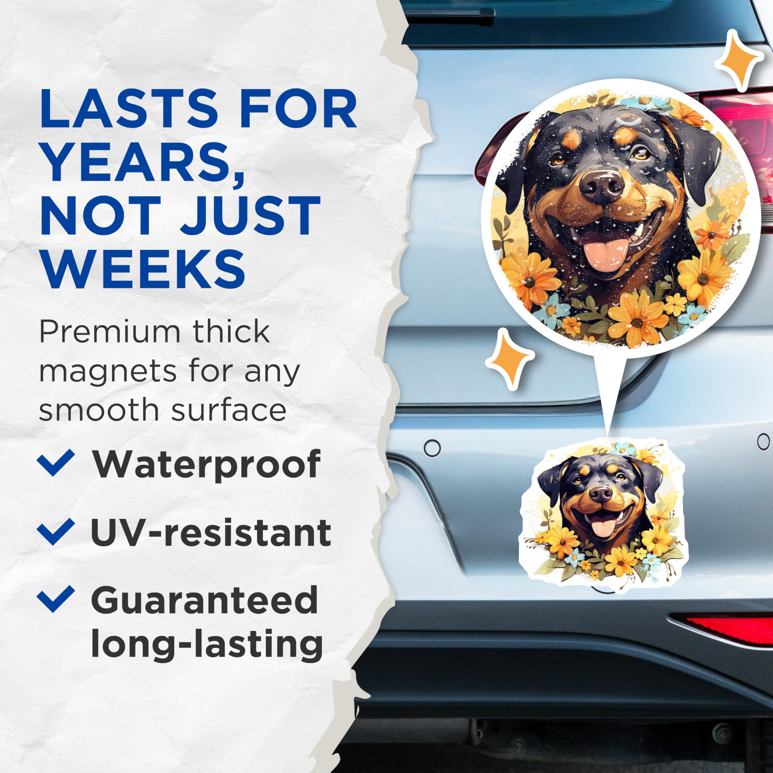 (2 Pack) Rottweiler Magnets - Floral Dog Art Decor - Happy Pet Lover Accessory - 5 Inches On Longest Side - Thick Durable Magnet - Made in USA - MAG25915