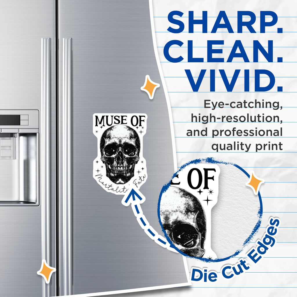 (2 Pack) Muse of Mortality's Fate Magnets - Skull Art Magnets - Gothic Decor Magnets - 5" On Longest Side - for Cars, Refrigerators, Toolboxes, Lockers - Made in USA BMCS3532