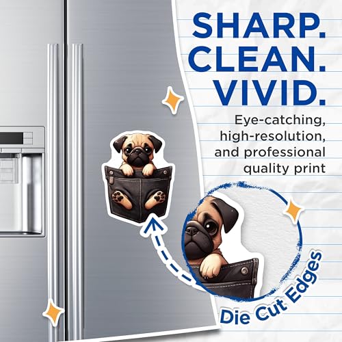 (2 Pack) Cute Pug Magnets - Dog Refrigerator ation - Pet Lover Magnets - 5" On Longest Side - for Cars, Fridges, Toolboxes - Made in USA - MAG4395