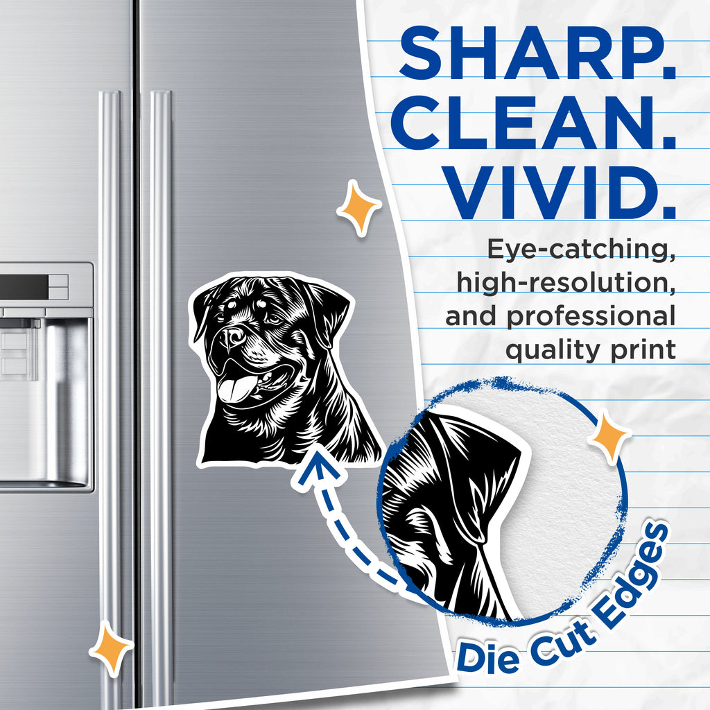 (2 Pack) Rottweiler Magnets - Dog Breed Fridge Decor - Pet Lover Locker Accessories - Canine Artwork Display - 5 Inches On Longest Side - Thick Durable Magnet - Made in USA - MAG39775