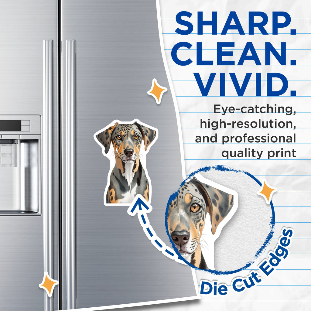 (2 Pack) Catahoula Magnets - Merle Leopard Dog Art - Pet Lover Decor - Unique Canine Illustration - 5 Inches On Longest Side - Thick Durable Magnet - Made in USA - MAG36700