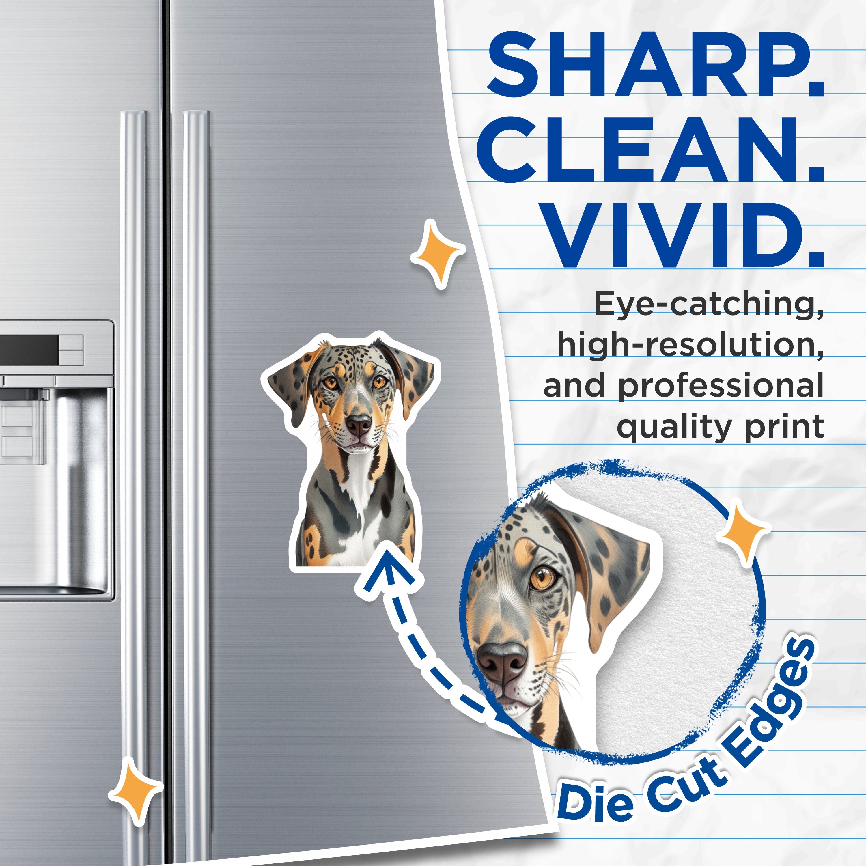 (2 Pack) Catahoula Magnets - Merle Leopard Dog Art - Pet Lover Decor - Unique Canine Illustration - 5 Inches On Longest Side - Thick Durable Magnet - Made in USA - MAG36700