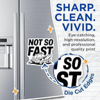 (2 Pack) Not So Fast Magnets - Turtle Design - Funny Motivational Magnets - 5" On Longest Side - for Cars, Fridges, Toolboxes - Made in USA - MAG5605