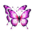 (2 Pack) Butterfly Magnets - Purple Pink Insect Decor - Pretty Refrigerator Magnets - 5" On Longest Side - Premium Magnet - for Cars, Refrigerators, Toolboxes, Lockers - Made in USA - MAG15663