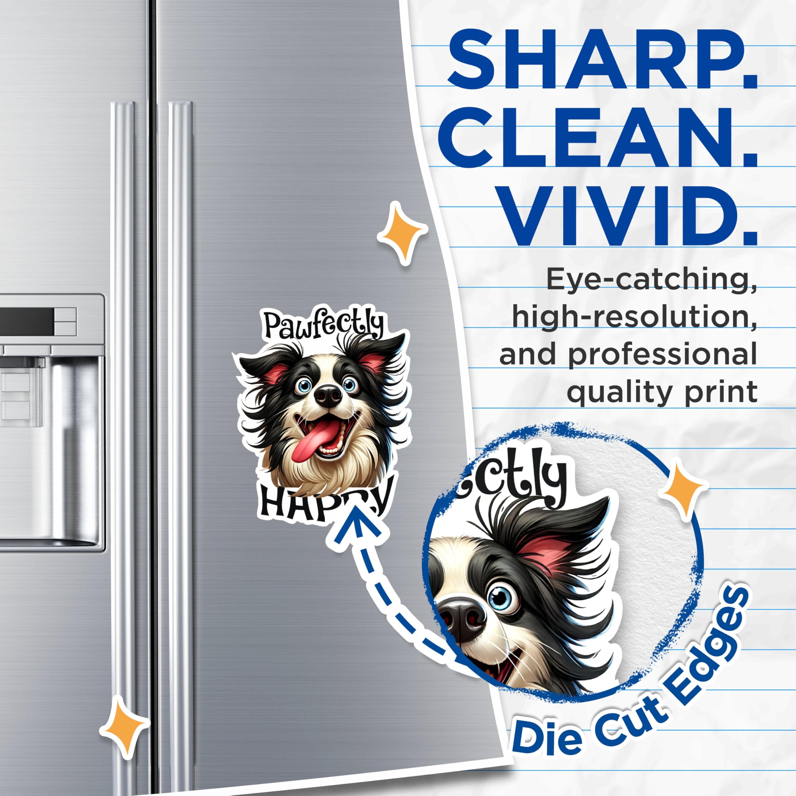 (2 Packs) Pawfectly Happy Magnets - Border Collie Dog Breed Magnets - 5 Inches On Longest Side - Premium Magnet - for Fridges, Toolboxes, Cars - Made in USA - MAG2396