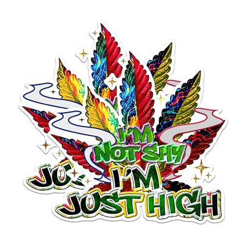 (2 Pack) Funny Weed Leaf Magnets - I'm Not Shy I'm Just High Magnets - Marijuana Humor Magnets - Cannabis Leaf Decor Magnets- 5" On Longest Side - for Fridges, Toolboxes, Cars - Made in USA - MAG2587