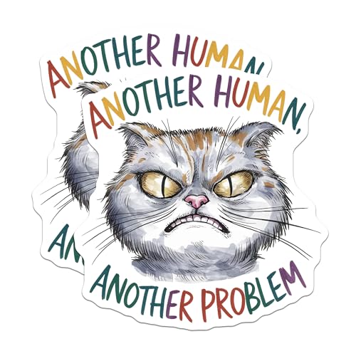 (2 Pack) Funny Cat Stickers - Angry Cat Humor - Pet Lover Decals - 5" On Longest Side - Sticks to Smooth Flat Surfaces - Made in USA - BMCS8562