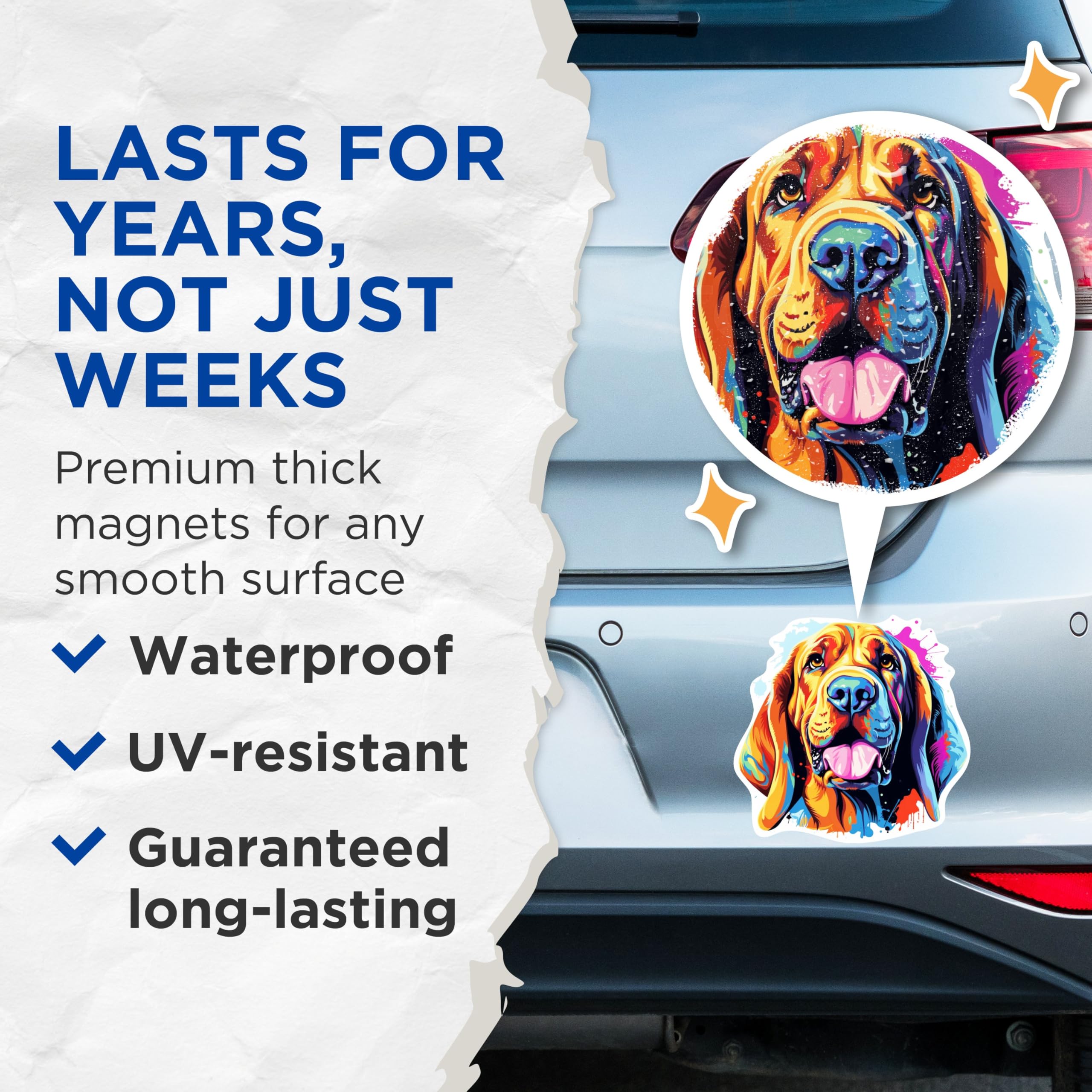(2 Pack) Bloodhound Dog Breed Magnets - 5 Inches On Longest Side - Choose from Over 100 Dog Breeds - for Cars, Refrigerators, Toolboxes - Made in USA - MAG1782