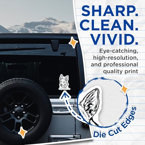 (2 Pack) Belgian Shepherd Stickers - Dog Breed Decals - Pet Lover Stickers - 5" On Longest Side - Sticks to Smooth Flat Surfaces - Made in USA - BMCS4018