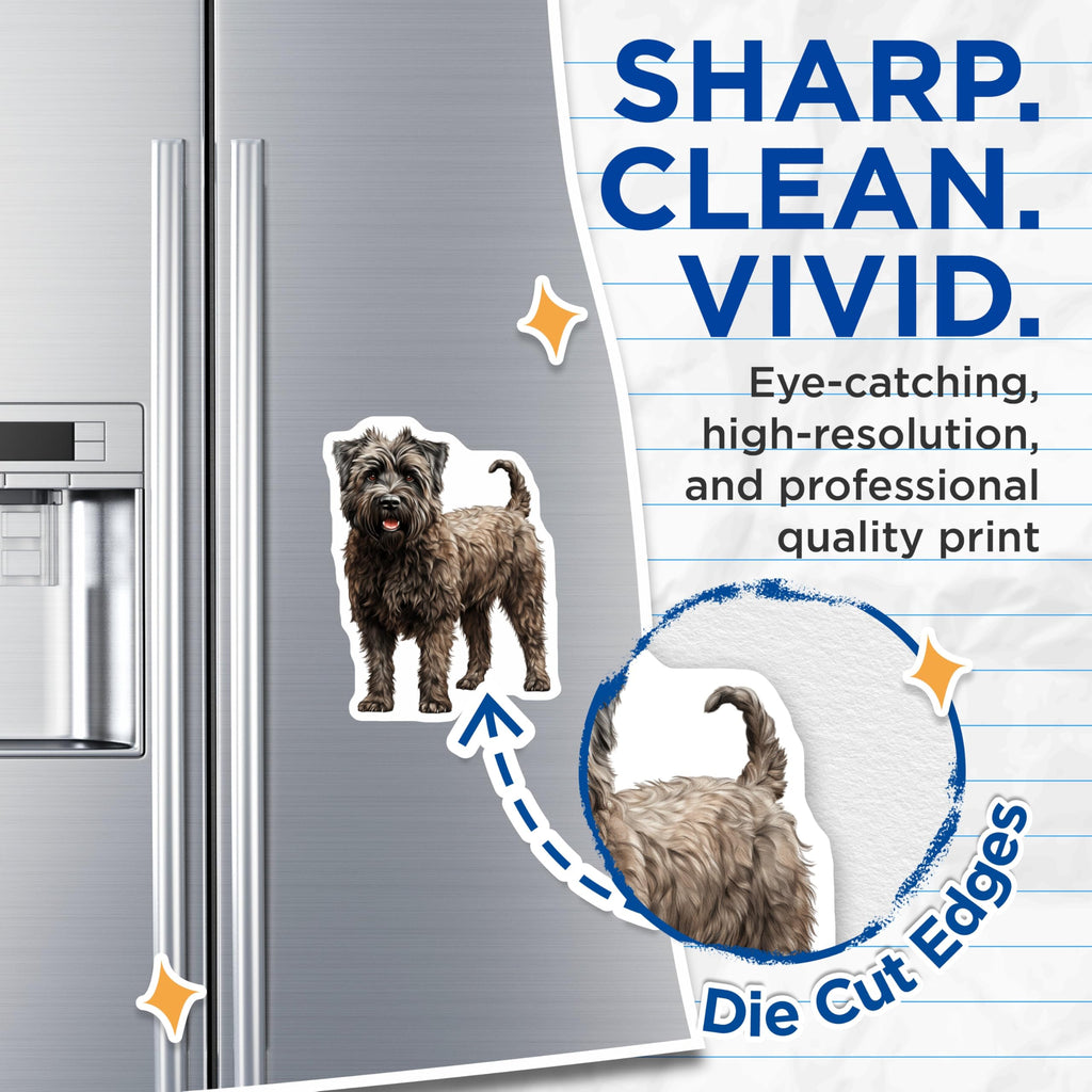 (2 Pack) Bouvier des Flandres Dog Magnets - Shaggy Breed Decor - Pet Lover Refrigerator Accent - 5 Inches On Longest Side - Thick Durable Magnet - Made in USA - MAG29406