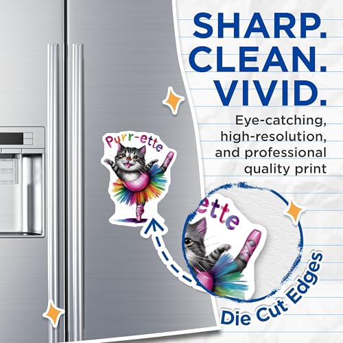 (2 Pack) Cat Ballet Purr-ette Magnets Magnets - Kitty Refrigerator Decoration - 5" On Longest Side - Made in USA - Sticks to Refrigerators & Metal Surfaces - MAG9160