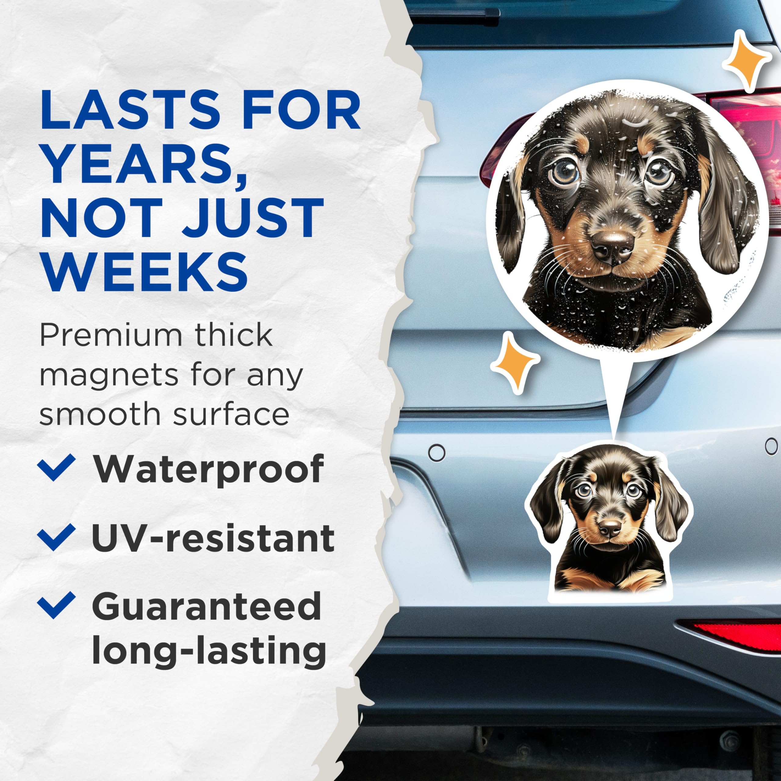 (2 Pack) Dachshund Puppy Magnets - Wiener Dog Art - Pet Lover Decor for Fridge Locker Vehicle - 5 Inches On Longest Side - Thick Durable Magnet - Made in USA - MAG29127