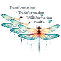 (3 Pack) Dragonfly Decals - Transformation Awaits - Laptop Decal - 3 Inches On Longest Side - Easy Peel & Apply - Made in USA - 3MCS1520