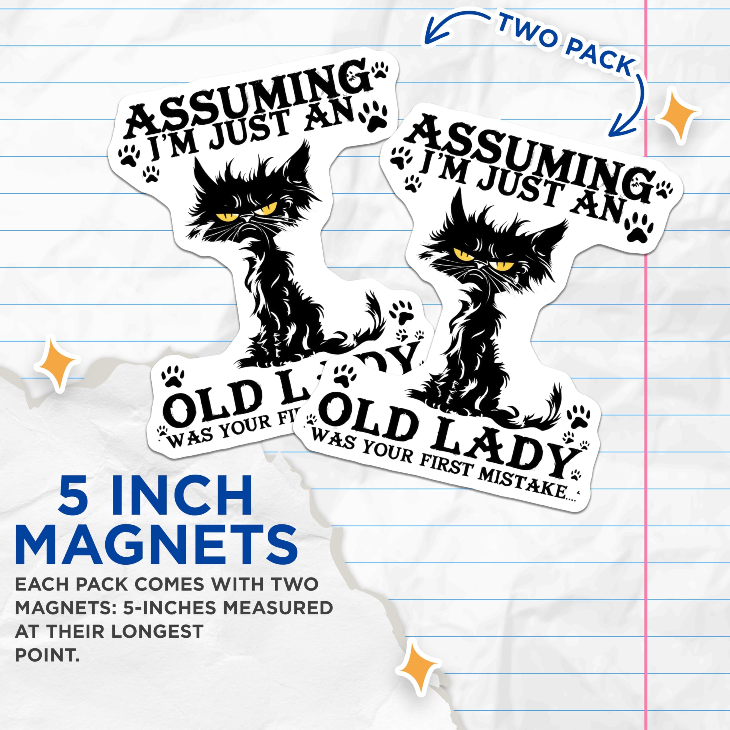 (2 Pack) Black Cat Magnets - Grumpy Cat Saying - Old Lady First Mistake Fridge Magnet - 5" On Longest Side - Premium Magnet - for Cars, Refrigerators, Toolboxes, Lockers - Made in USA - MAG14942
