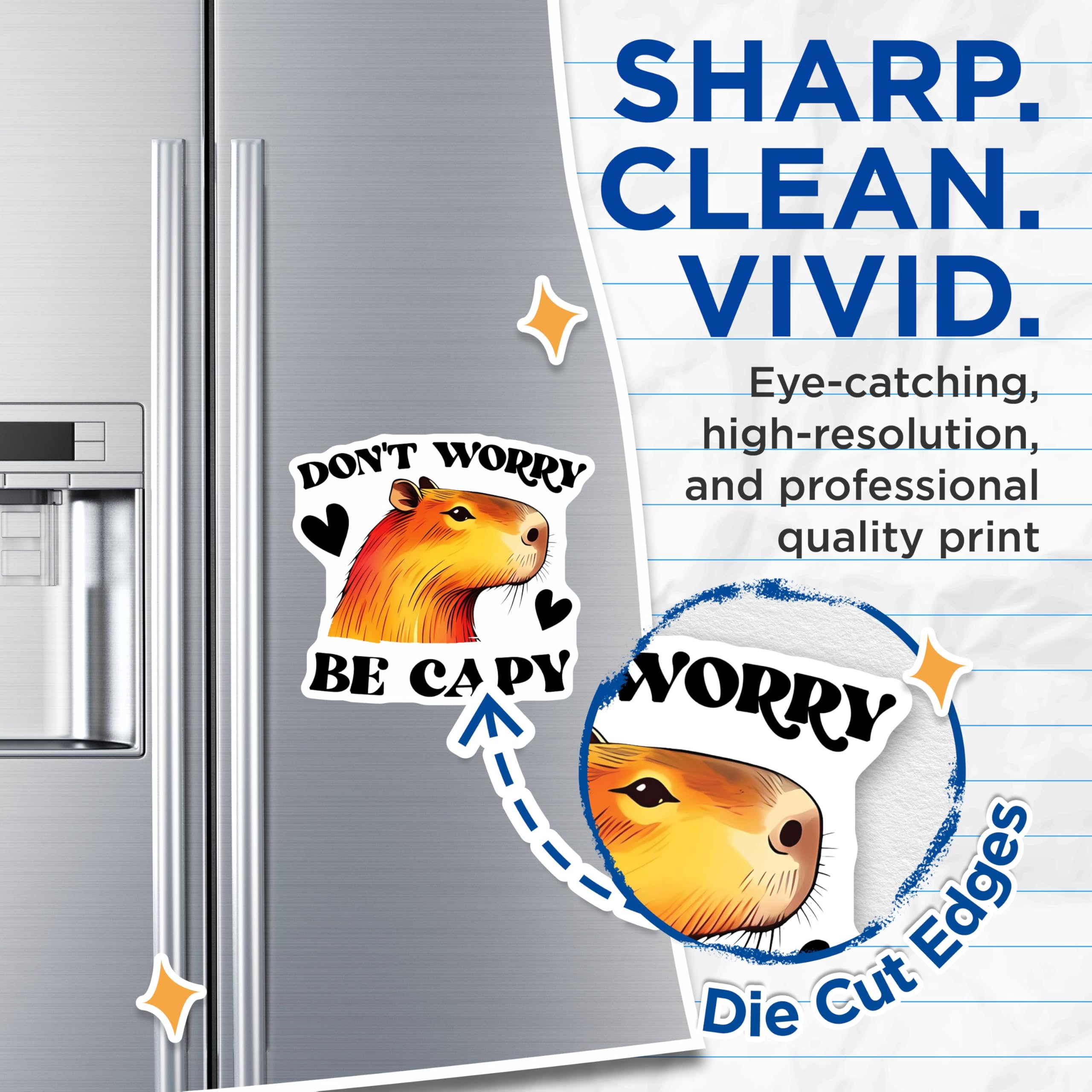 (2 Pack) Don't Worry Be Capy Magnets - Cute Animal Magnets - Inspirational Quotes - Office Magnets - Fridge Magnets - 5" On Longest Side - for Cars, Fridges, Toolboxes - Made in USA - MAG3749
