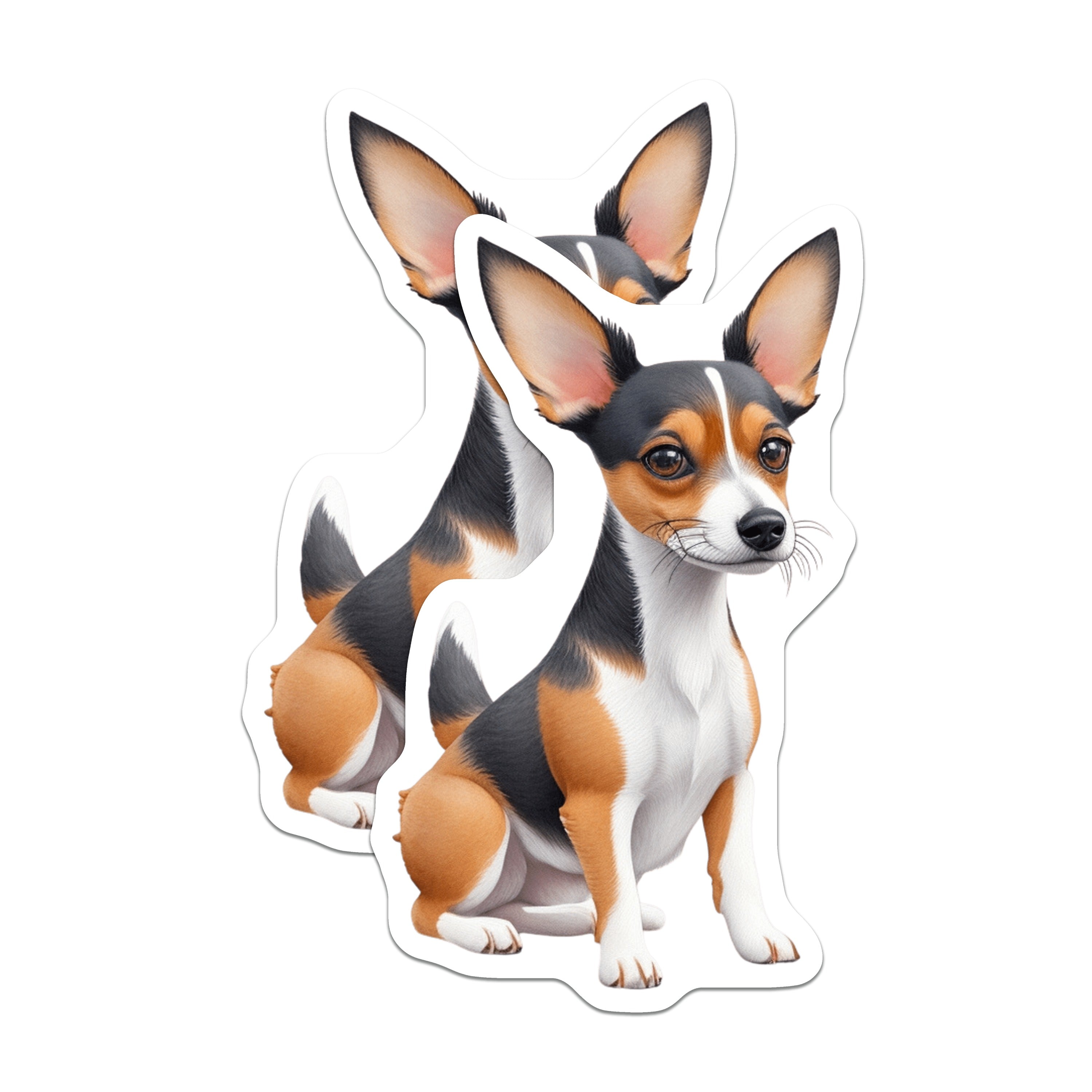 (2 Pack) Rat Terrier Magnets - Cute Dog Art - Small Breed Pet Lover Refrigerator Locker Home Accessory - 5 Inches On Longest Side - Thick Durable Magnet - Made in USA - MAG36732