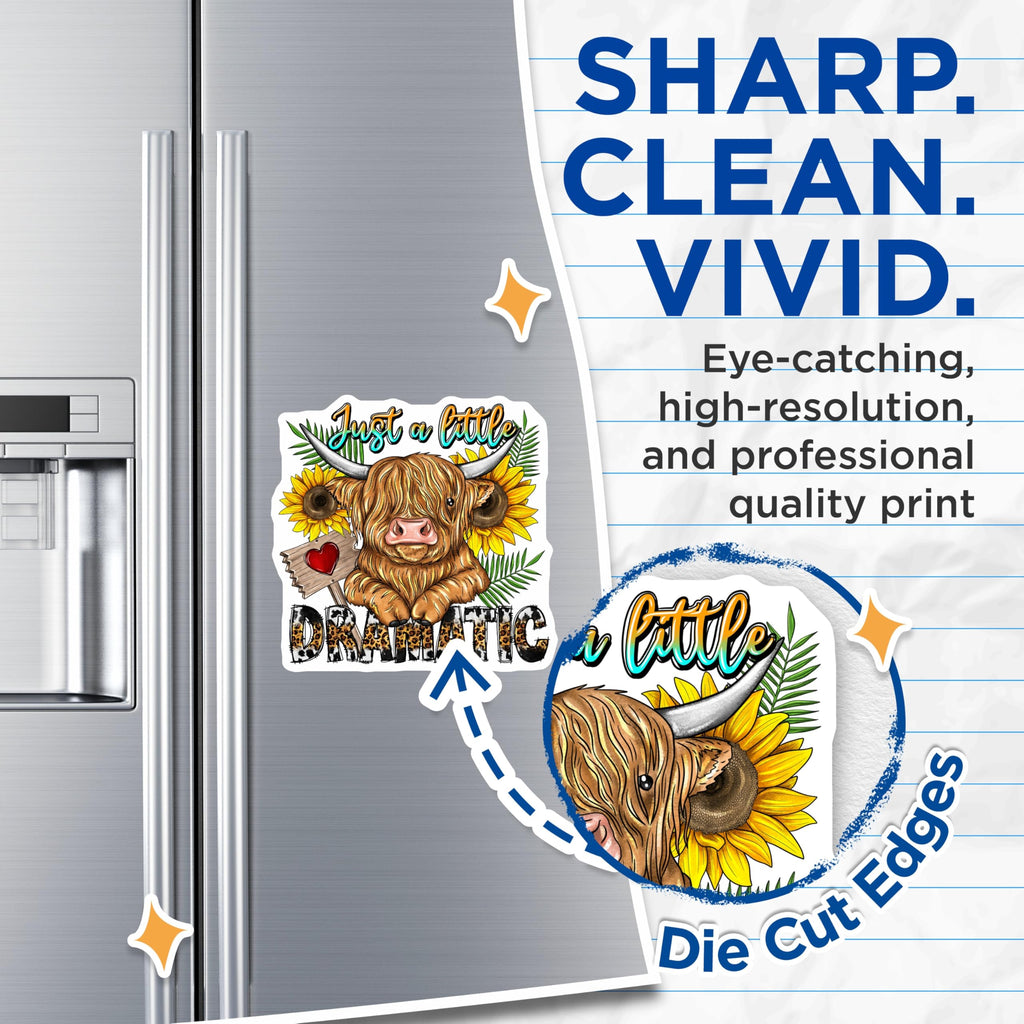 (2 Pack) Dramatic Highland Cow Magnets - Funny Farmhouse Kitchen Decor - Sunflowers Animal Print Accent - 5 Inches On Longest Side - Thick Durable Magnet - Made in USA - MAG24174