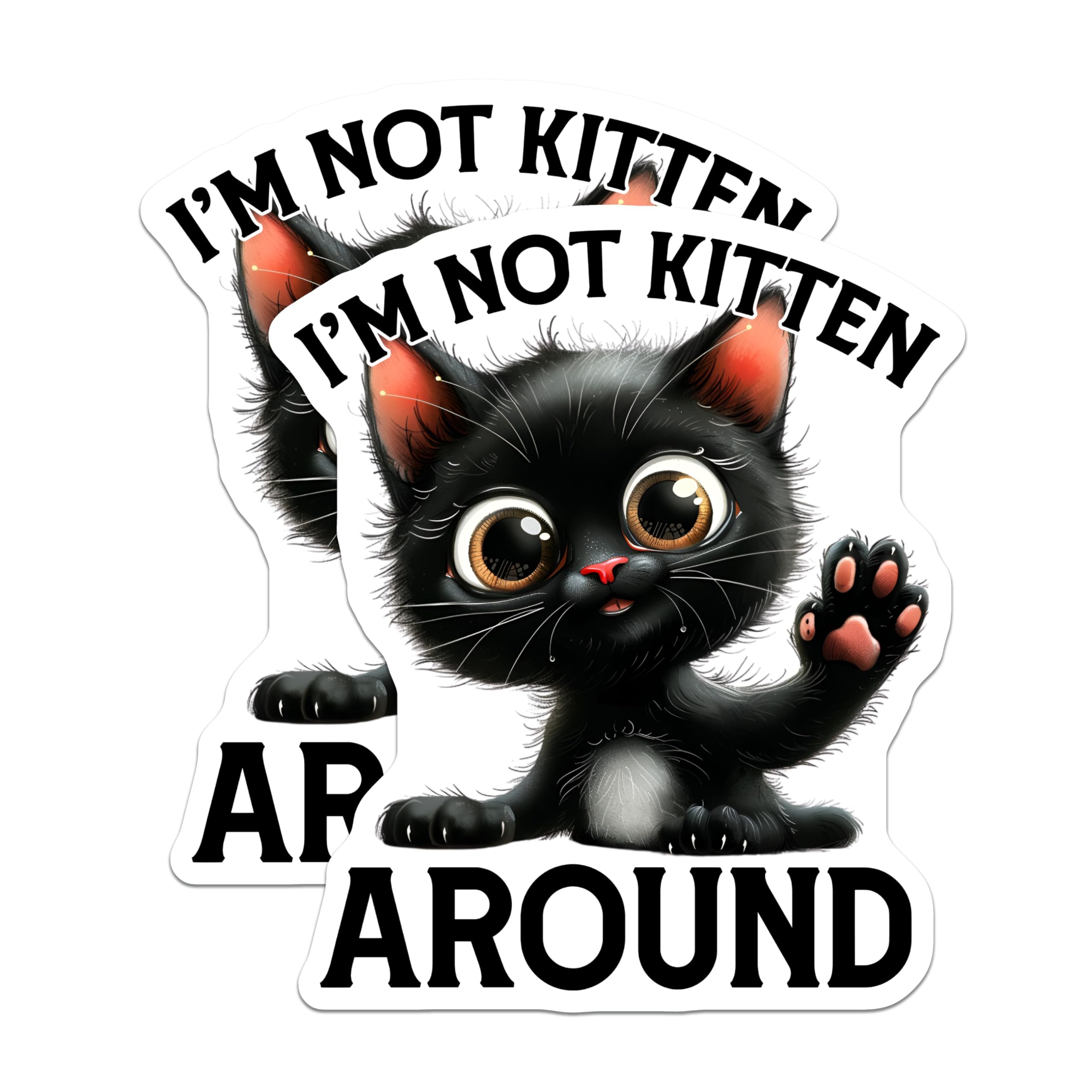 (2 Pack) Funny Cat Magnets - Black Kitten - Cute Animal Saying - Refrigerator Magnets - 5" On Longest Side - Premium Magnet - for Cars, Refrigerators, Toolboxes, Lockers - Made in USA - MAG16005