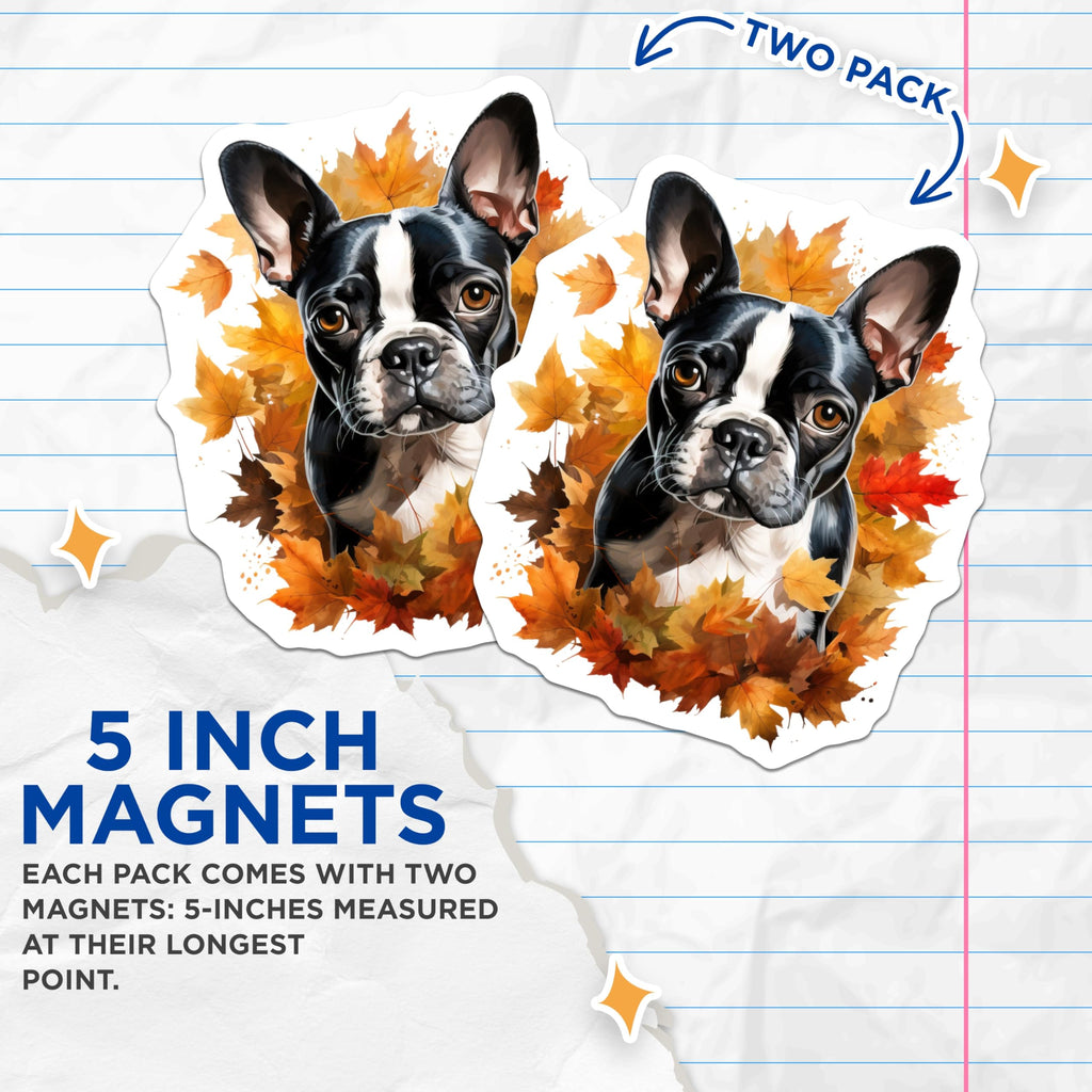 (2 Pack) Boston Terrier Magnets - Fall Leaves Dog Decor - Autumn Pet Lover Present for Dog Owners - 5 Inches On Longest Side - Thick Durable Magnet - Made in USA - MAG27561