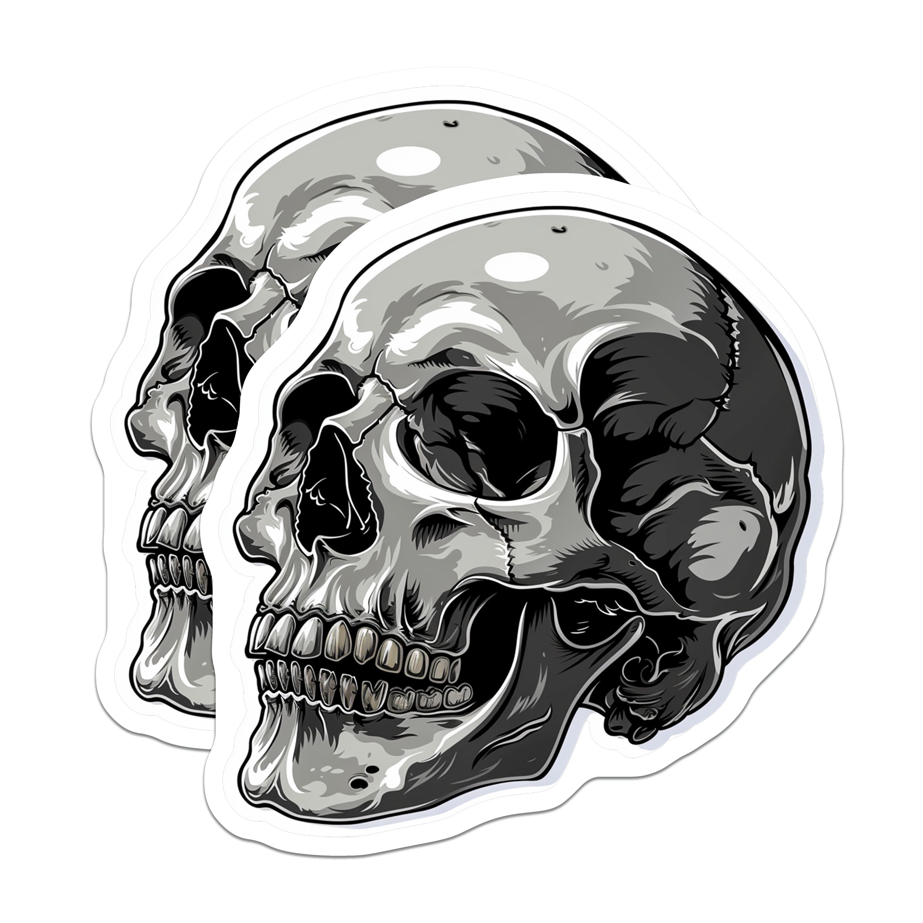 (2 Pack) Gothic Skull Magnets - Edgy Human Skeleton Art - Macabre Anatomy Decor for Halloween - 5 Inches On Longest Side - Thick Durable Magnet - Made in USA - MAG36524