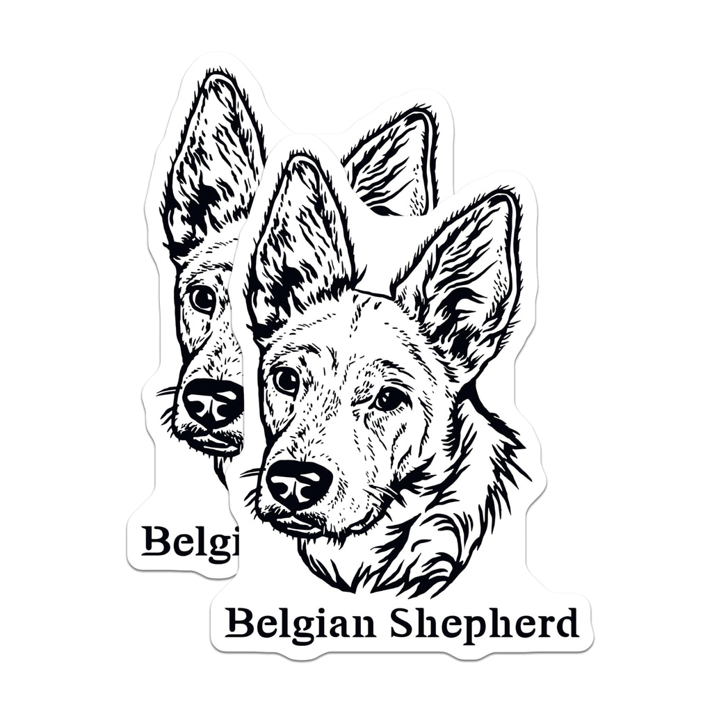 (2 Pack) Belgian Shepherd Dog Magnets - High Detail Canine Art - Ative Animal Magnets for Fridge - Dog Lover Home - 5" On Longest Side - for Cars, Fridges, Toolboxes - Made in USA - MAG4018