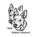 (2 Pack) Belgian Shepherd Dog Magnets - High Detail Canine Art - Ative Animal Magnets for Fridge - Dog Lover Home - 5" On Longest Side - for Cars, Fridges, Toolboxes - Made in USA - MAG4018