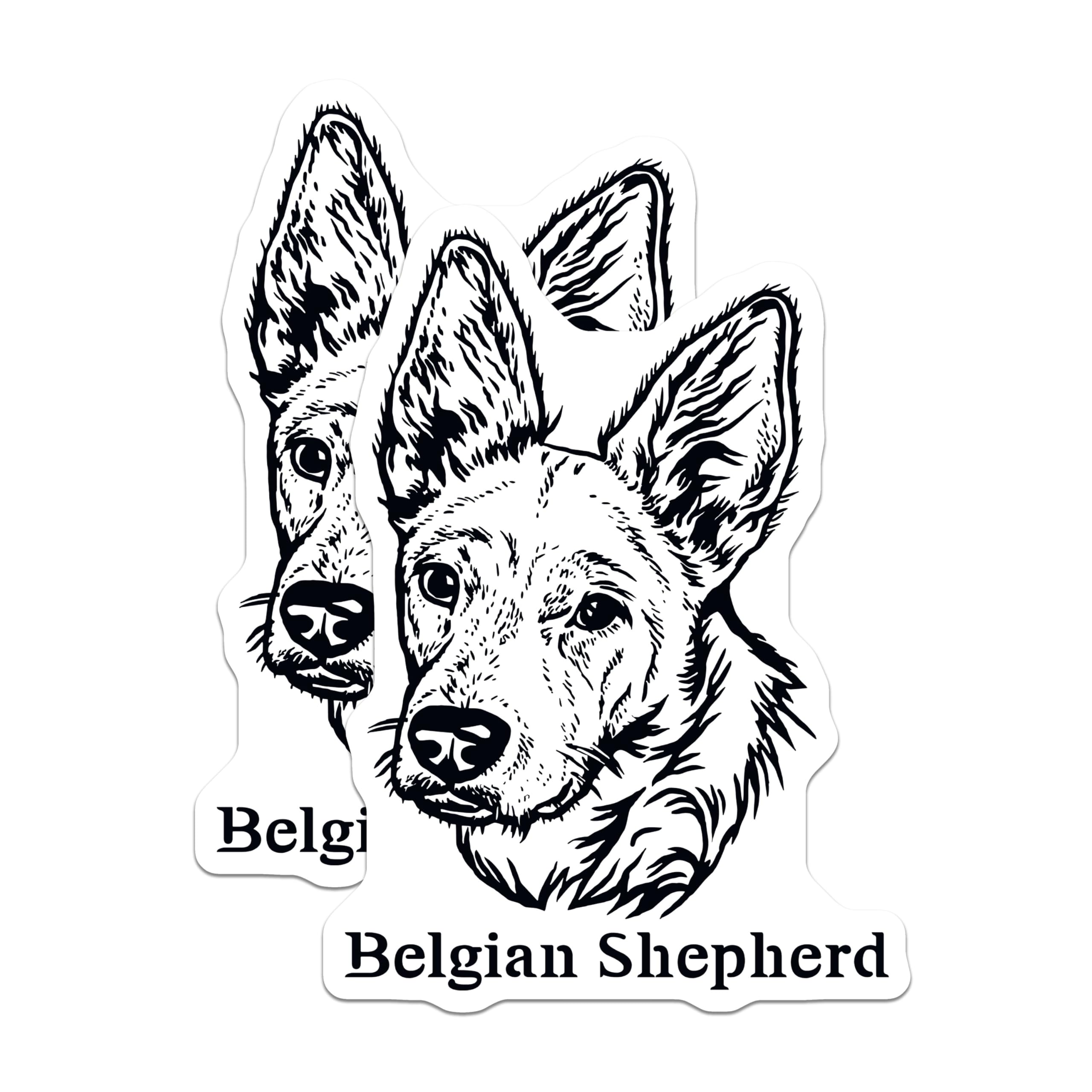(2 Pack) Belgian Shepherd Dog Magnets - High Detail Canine Art - Ative Animal Magnets for Fridge - Dog Lover Home - 5" On Longest Side - for Cars, Fridges, Toolboxes - Made in USA - MAG4018