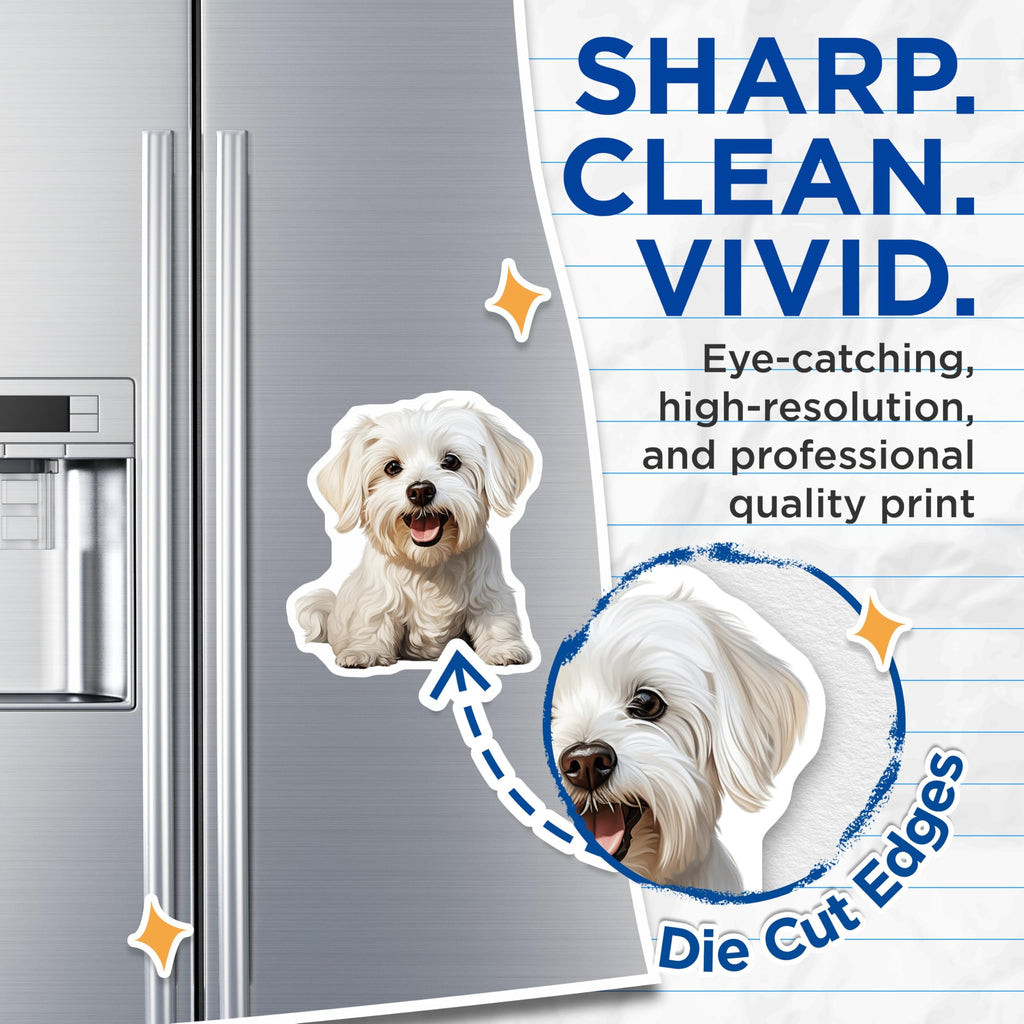 (2 Pack) Cute Maltese Dog Magnets - Happy White Fluffy Puppy Art - Dog Mom Refrigerator Decor - Pet Owner Kitchen Accessory - 5 Inches On Longest Side - Thick Durable Magnet - Made in USA - MAG25331