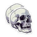 (2 Pack) Gothic Skull Magnets - Human Skeleton Decor - Dark Academia Spooky Anatomy Art - 5 Inches On Longest Side - Thick Durable Magnet - Made in USA - MAG39785