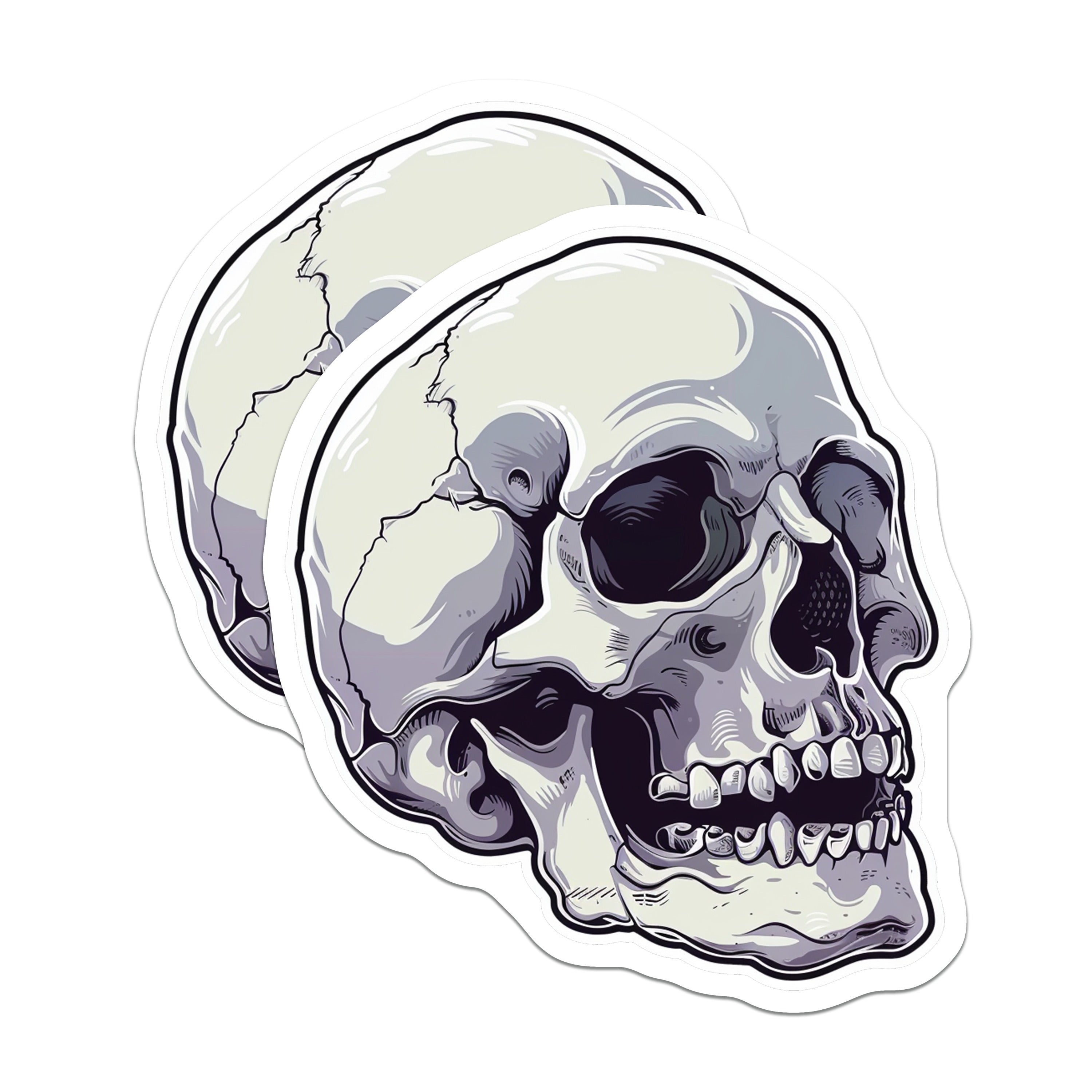 (2 Pack) Gothic Skull Magnets - Human Skeleton Decor - Dark Academia Spooky Anatomy Art - 5 Inches On Longest Side - Thick Durable Magnet - Made in USA - MAG39785