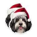(2 Pack) Havanese Christmas Magnets - Shih Tzu Santa Hat Dog - Festive Holiday Pet Lover Home Decor - 5 Inches On Longest Side - Thick Durable Magnet - Made in USA - MAG26238