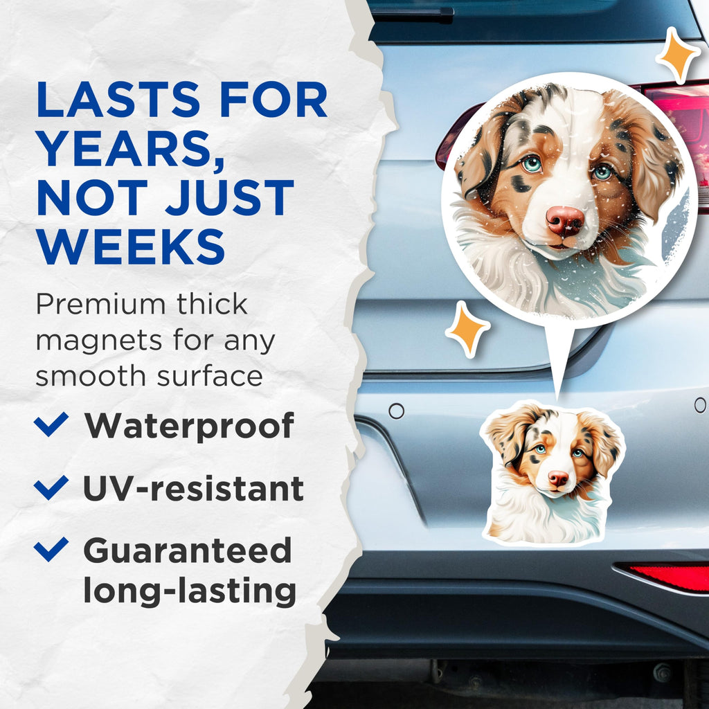 (2 Pack) Australian Shepherd Magnets - Blue Eye Puppy Decor - Merle Aussie Pet Lover - 5 Inches On Longest Side - Thick Durable Magnet - Made in USA - MAG27086