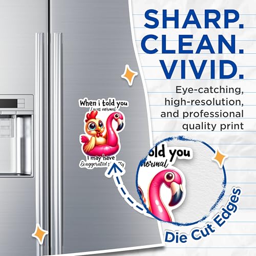 (2 Pack) Funny Chicken Flamingo Magnet - Quirky Animal Magnets - Humorous Kitchen Decor Magnets- 5" On Longest Side - for Fridges, Toolboxes, Cars - Made in USA - MAG2929
