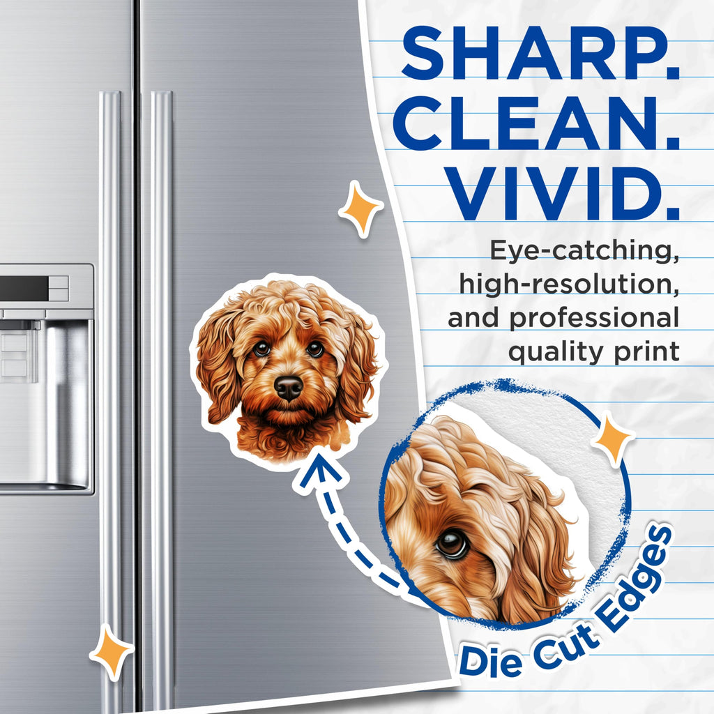 (2 Pack) Cavapoo Dog Magnets - Cute Pet Portrait Art - Doodle Puppy Lover Home Office Decor - 5 Inches On Longest Side - Thick Durable Magnet - Made in USA - MAG29963
