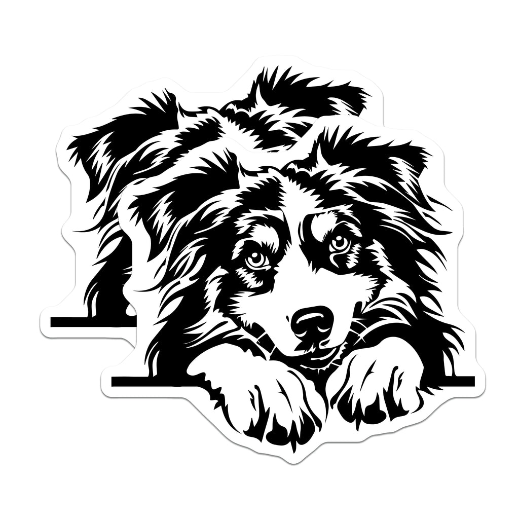 (2 Pack) Border Collie Dog Magnets - Australian Shepherd Pet Lover Decor - Dog Mom Fridge Accent - Animal Fan Refrigerator Art - 5" - Thick Durable Magnet - Made in USA - MAG39723