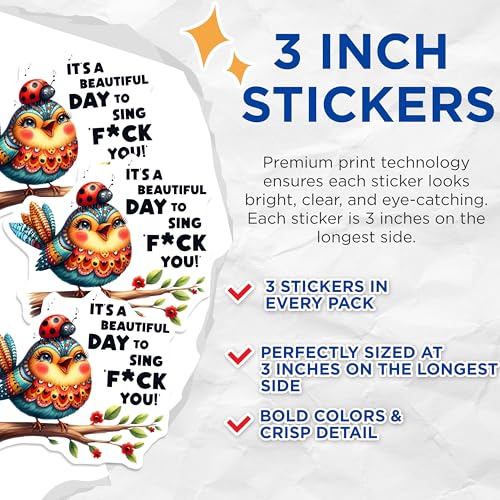 (3 Pack) Funny Bird Decals - Offensive Humor Laptop Decal - Sarcastic Song Lyrics Decals - 3 Inches On Longest Side - Easy Peel & Apply - Made in USA - 3MCS4661