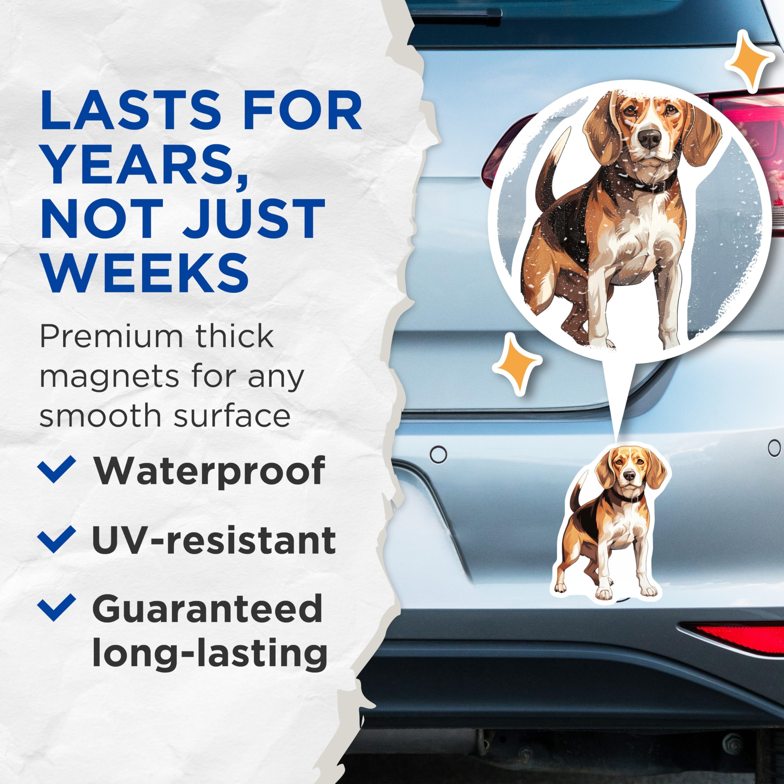 (2 Pack) Beagle Dog Magnets - Cute Hound Pet Lover - Dog Mom Dad Decor - Canine Refrigerator Accessories - 5 Inches On Longest Side - Thick Durable Magnet - Made in USA - MAG28683
