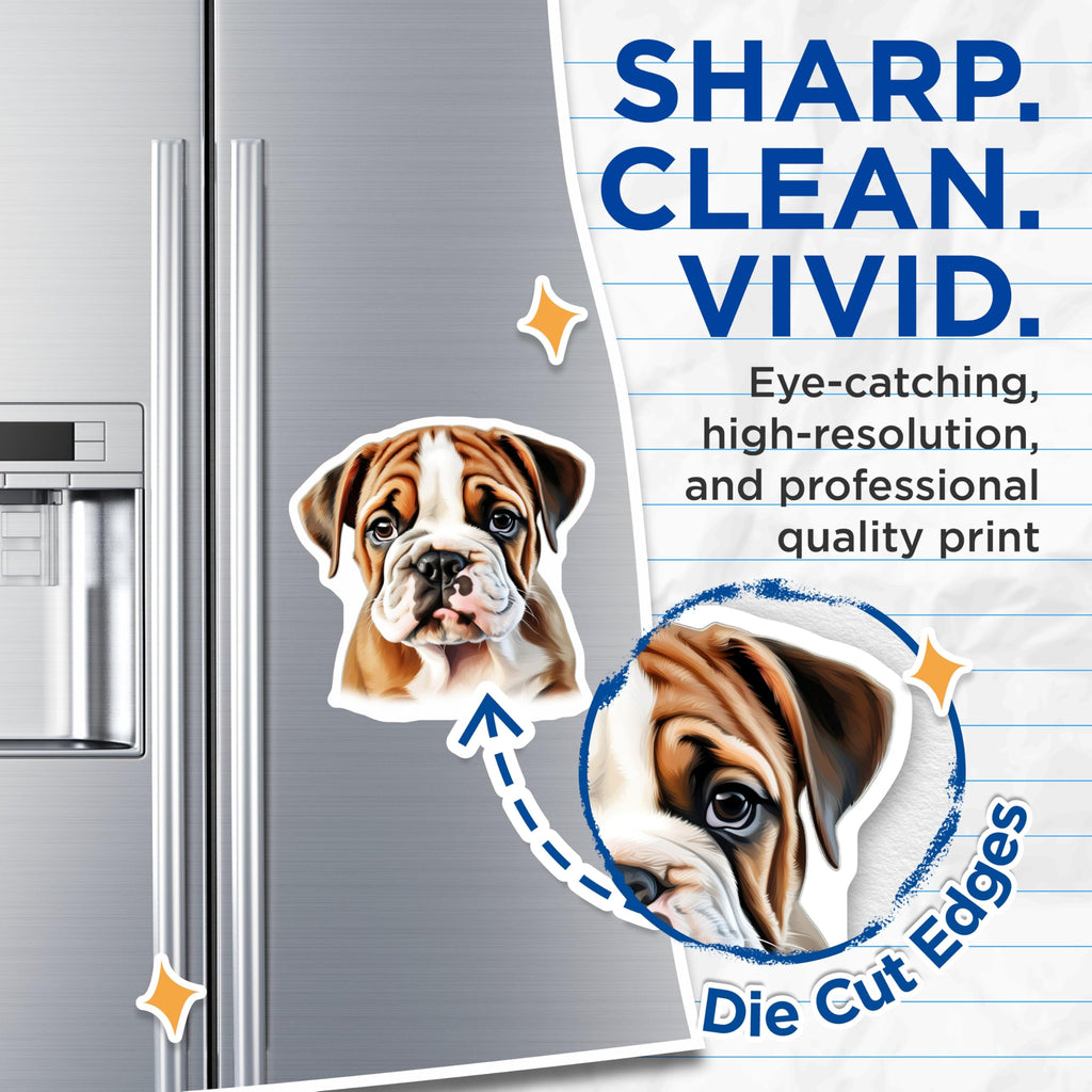 (2 Pack) English Bulldog Puppy Magnets - Cute Dog Decor - Pet Lover Accessory - Animal Owner Collectible - 5 Inches On Longest Side - Thick Durable Magnet - Made in USA - MAG25655