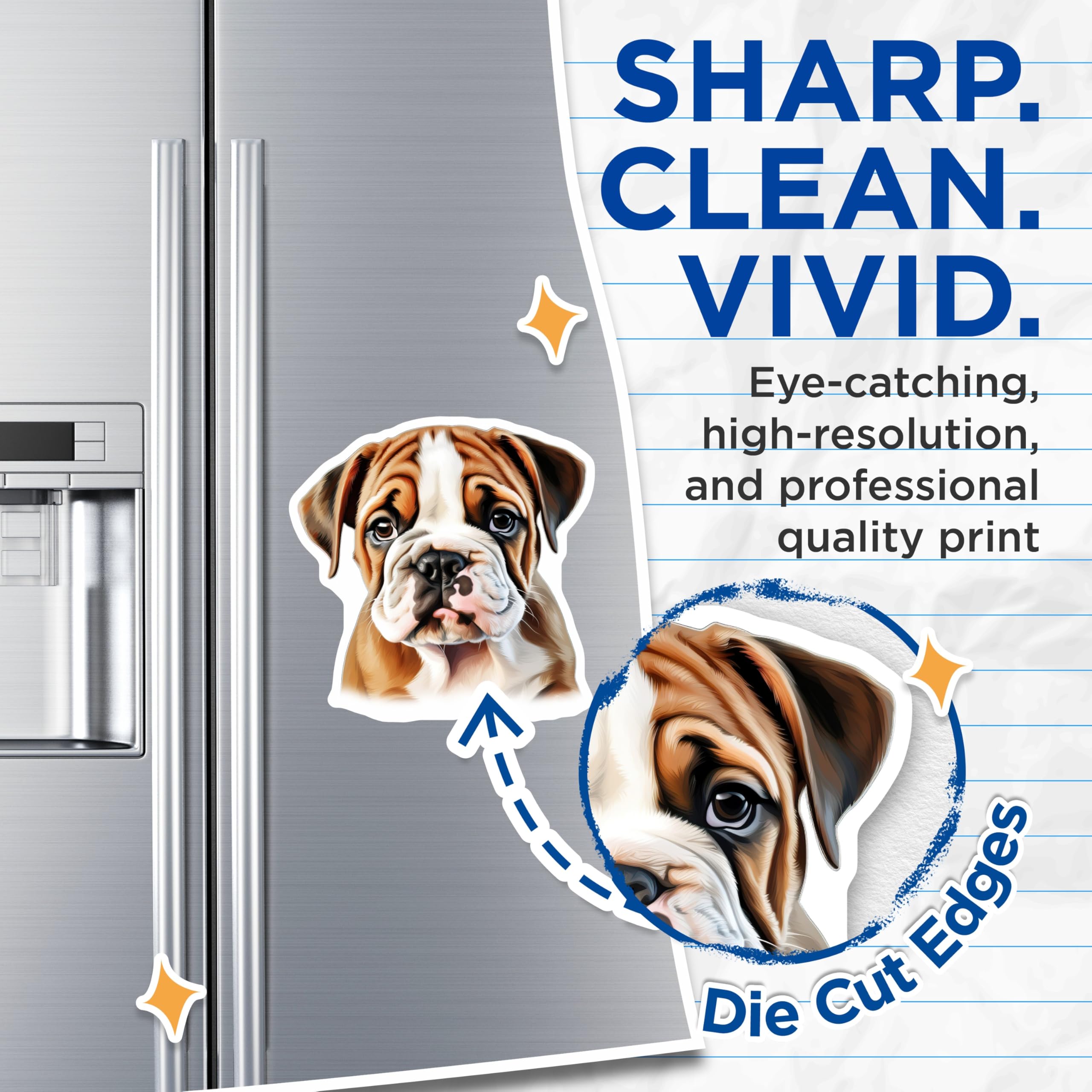 (2 Pack) English Bulldog Puppy Magnets - Cute Dog Decor - Pet Lover Accessory - Animal Owner Collectible - 5 Inches On Longest Side - Thick Durable Magnet - Made in USA - MAG25655