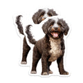 (2 Pack) Portuguese Water Dog Magnets - Curly Brown Dog Lover Decor - Happy Pet Refrigerator Art - 5 Inches On Longest Side - Thick Durable Magnet - Made in USA - MAG29958