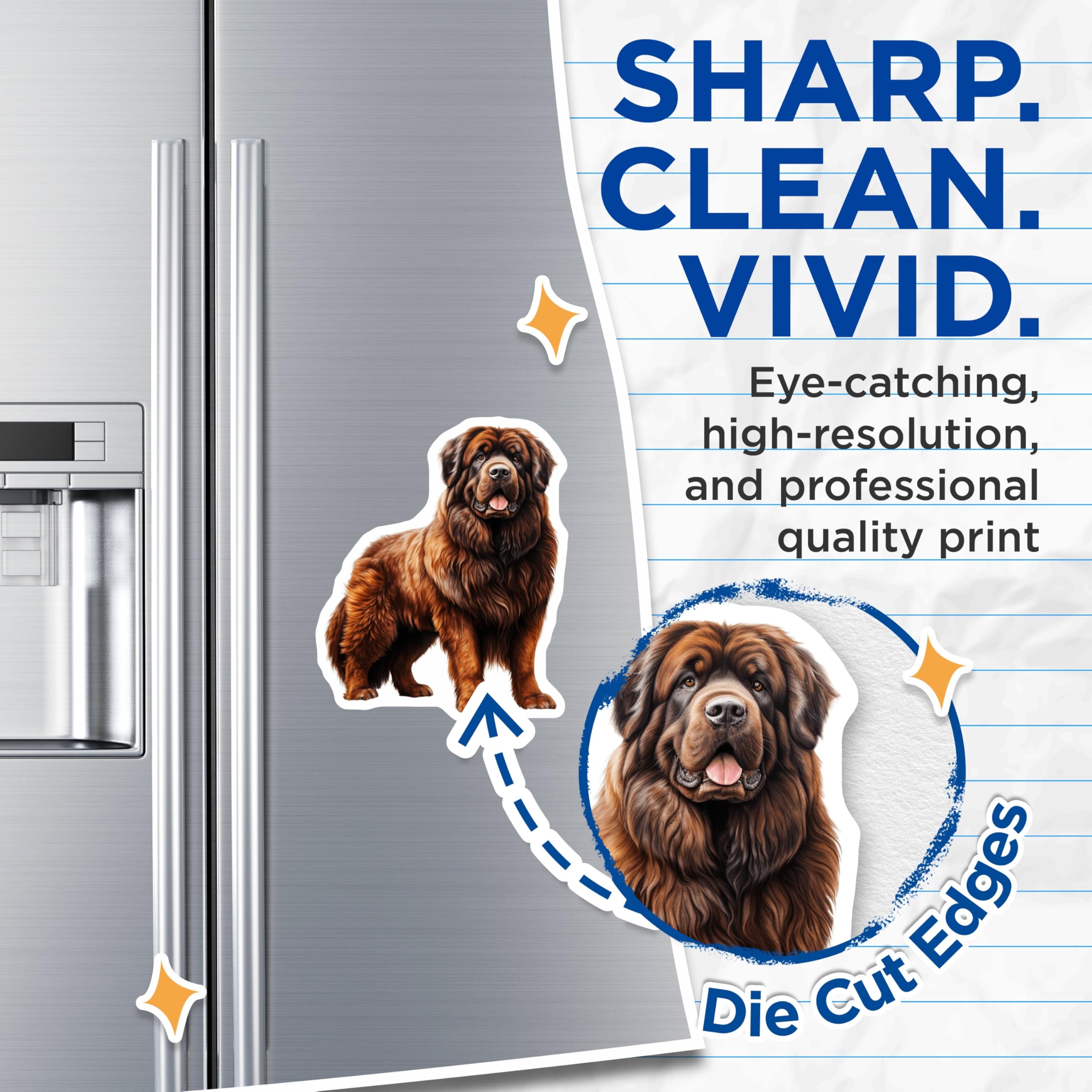 (2 Pack) Newfoundland Dog Magnets - Brown Newfie Lover - Large Breed Pet Owner Decor - 5 Inches On Longest Side - Thick Durable Magnet - Made in USA - MAG25260