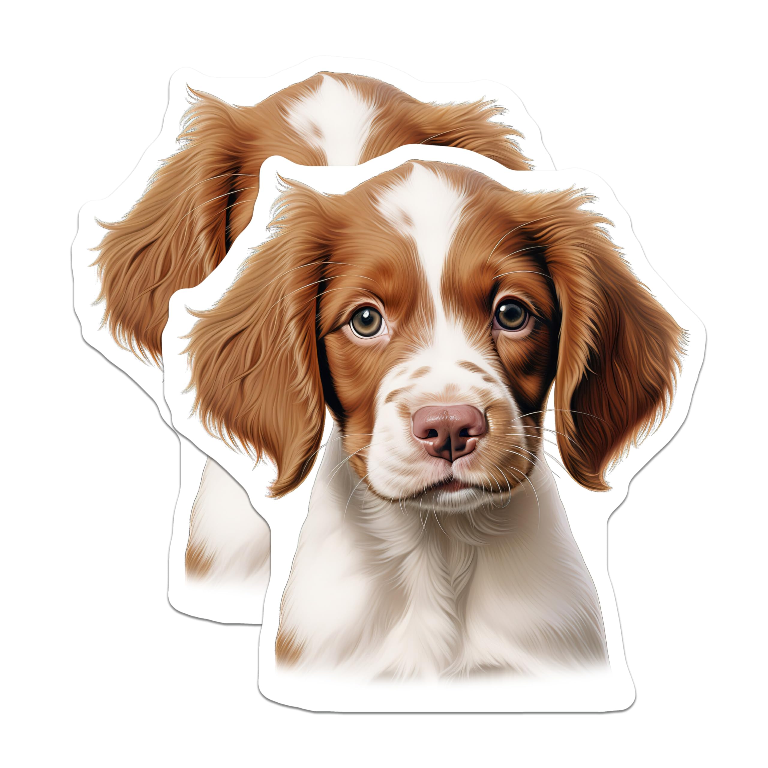 (2 Pack) Brittany Spaniel Puppy Magnets - Cute Dog Lover - Pet Owner Home Decor - 5 Inches On Longest Side - Thick Durable Magnet - Made in USA - MAG25971