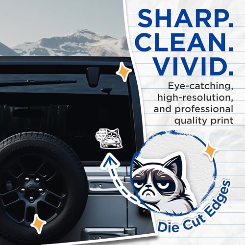 (2 Pack) Grumpy Cat Stickers - Fluff Around Find Out - Funny Hilarious - 5" On Longest Side - Sticks to Smooth Flat Surfaces - Made in USA - BMCS7347