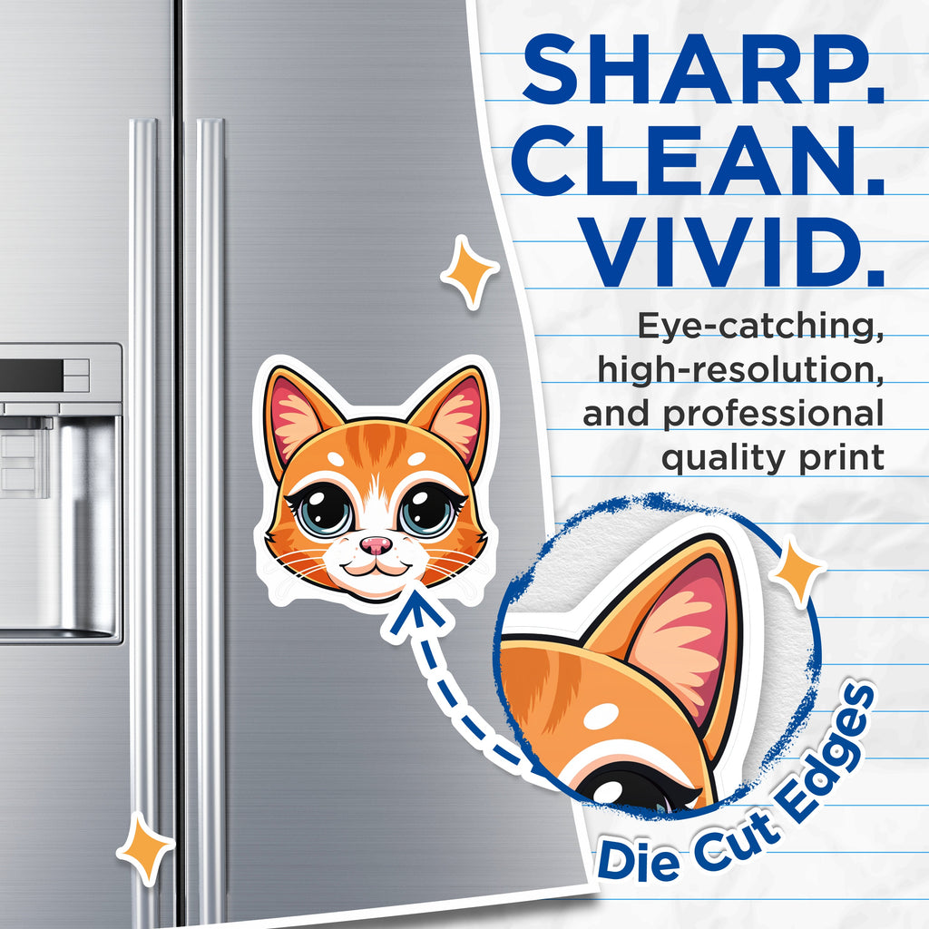 (2 Pack) Cute Orange Cat Magnets - Kawaii Kitty Fridge Magnets - Cartoon Feline Decor for Cat Lovers - 5 Inches On Longest Side - Thick Durable Magnet - Made in USA - MAG36215