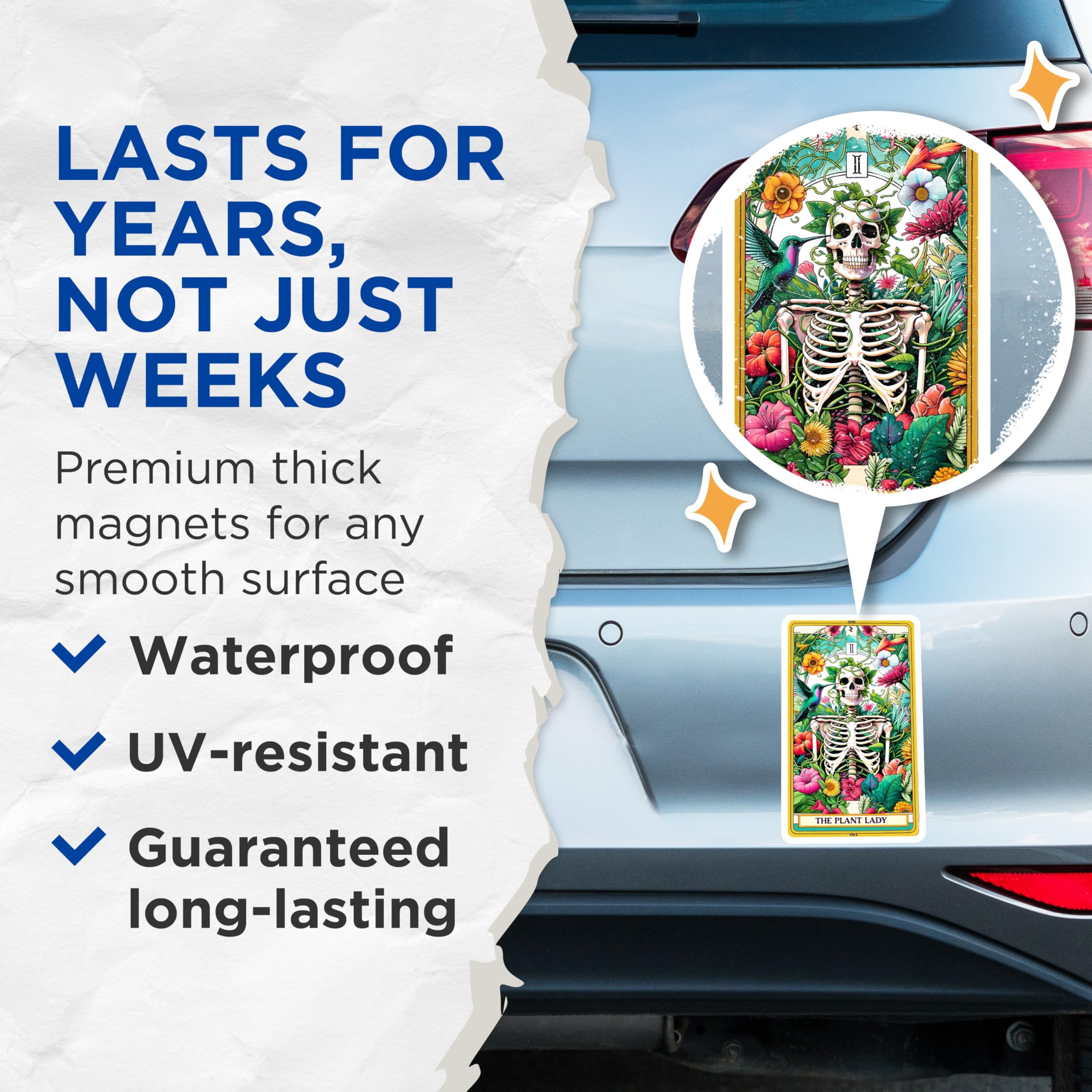 (2 Pack) Plant Lady Skeleton Magnets - Witchy Botanical Decor - Tarot Card Art for Plant Lovers - 5 Inches On Longest Side - Thick Durable Magnet - Made in USA - MAG30944