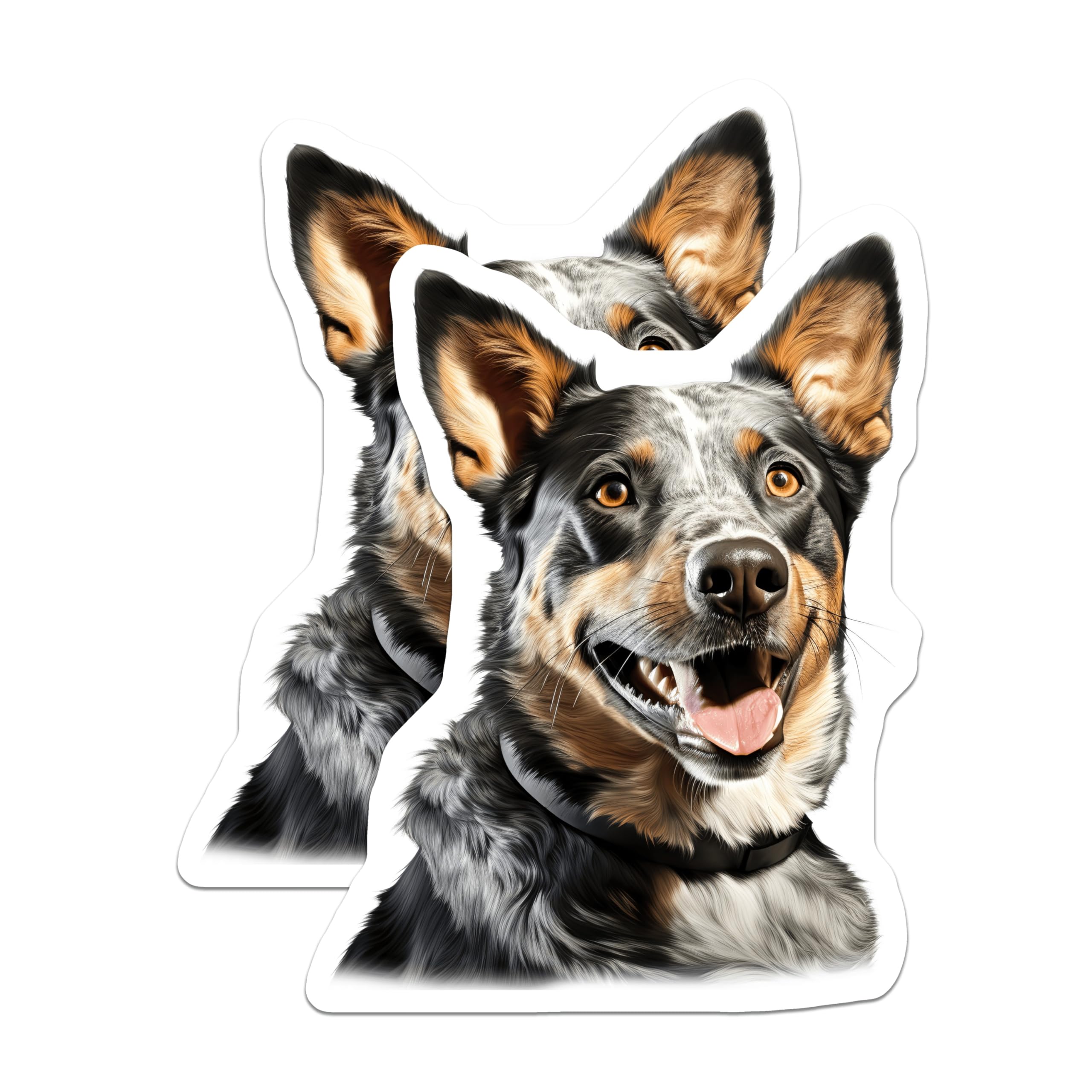 (2 Pack) Blue Heeler Dog Magnets - Australian Cattle Dog Magnet - Pet Lover Fridge Decor - 5 Inches On Longest Side - Thick Durable Magnet - Made in USA - MAG29992