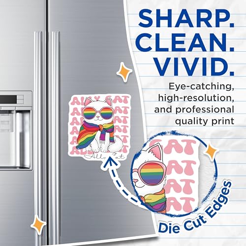 (2 Pack) Ally Cat Magnets - Rainbow Cat Magnets - Cute Cat Magnets for Fridge - 5" On Longest Side - for Cars, Fridges, Toolboxes - Made in USA - MAG6678