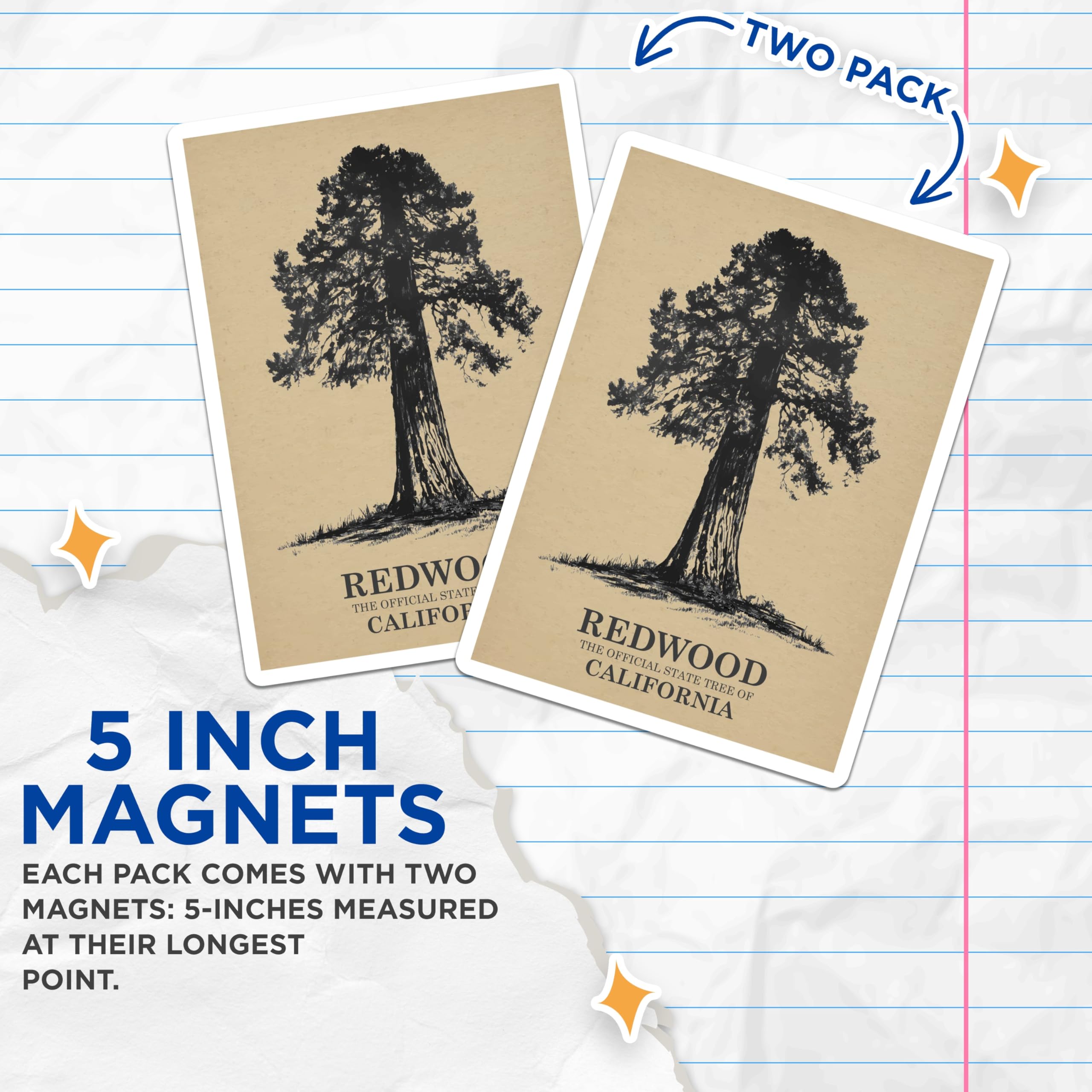 (2 Pack) Redwood Tree Magnets - California State Tree - Nature Lover Fridge Magnets - 5" On Longest Side - Premium Magnet - for Cars, Refrigerators, Toolboxes, Lockers - Made in USA - MAG17372