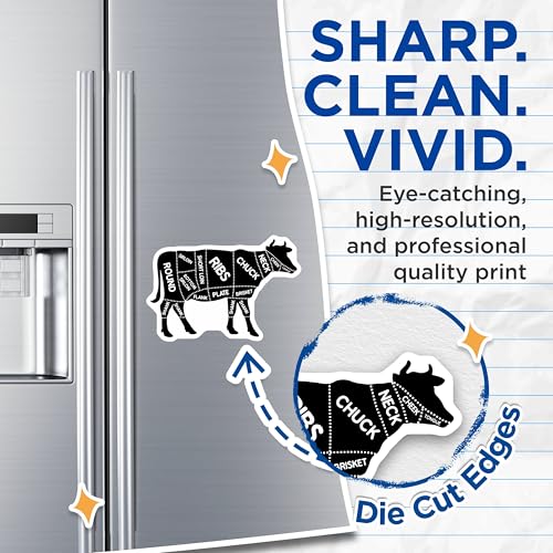 (2 Pack) Cow Butchery Guide Magnets Magnets - Kitchen Decor - Cooking Reference - 5" On Longest Side - Made in USA - Sticks to Refrigerators & Metal Surfaces - MAG9219