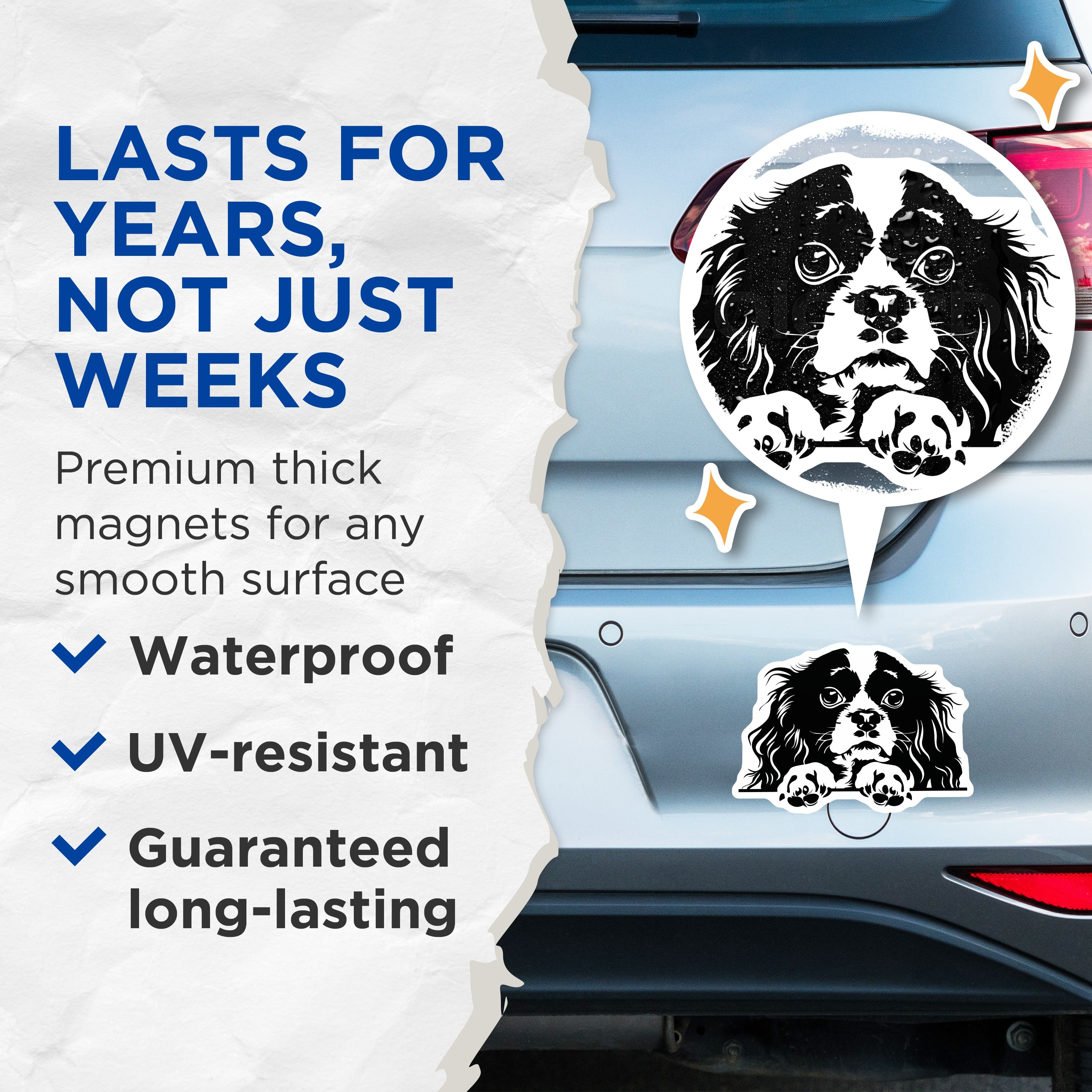 (2 Pack) Cavalier King Charles Spaniel Magnets - Dog Mom Refrigerator Decor - Pet Owner Kitchen Accessory - 5 Inches On Longest Side - Thick Durable Magnet - Made in USA - MAG37823